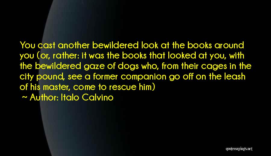 Dogs From Books Quotes By Italo Calvino