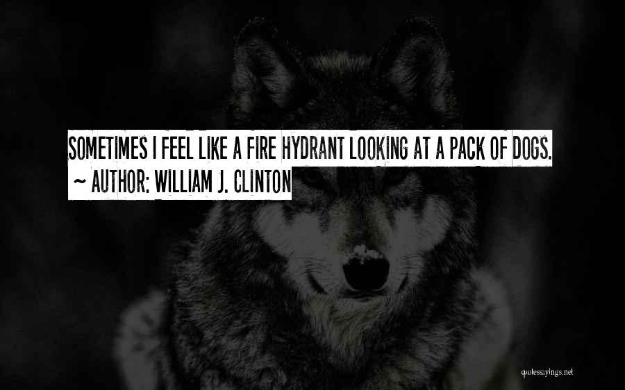 Dogs Funny Quotes By William J. Clinton