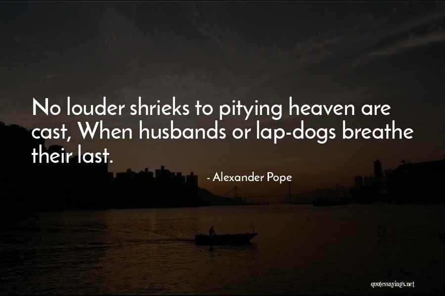 Dogs Goes To Heaven Quotes By Alexander Pope Dogs Goes To Heaven Quotes By Alexander Pope
