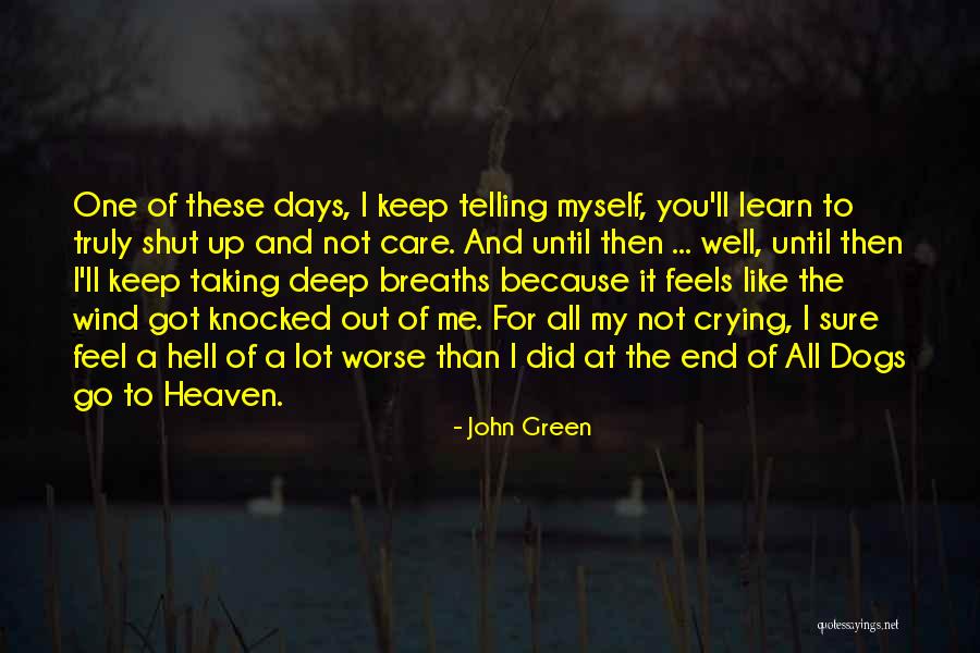 Dogs Going To Heaven Quotes By John Green