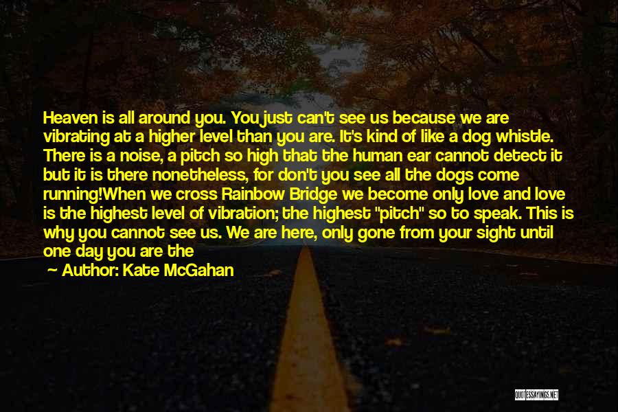 Dogs Going To Heaven Quotes By Kate McGahan