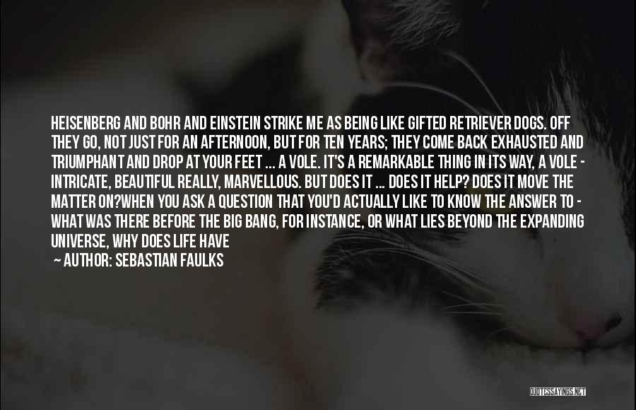 Dogs Have A Way Of Quotes By Sebastian Faulks