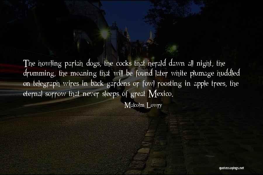 Dogs Howling Quotes By Malcolm Lowry Dogs Howling Quotes By Malcolm Lowry