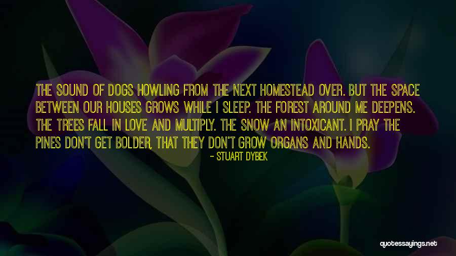 Dogs Howling Quotes By Stuart Dybek Dogs Howling Quotes By Stuart Dybek