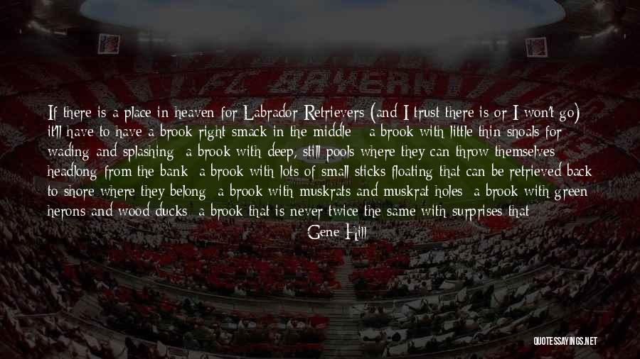 Dogs In Heaven Quotes By Gene Hill