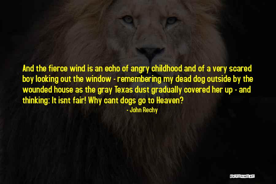 Dogs In Heaven Quotes By John Rechy