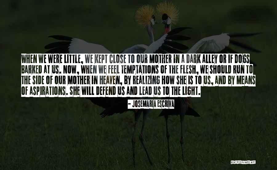 Dogs In Heaven Quotes By Josemaria Escriva