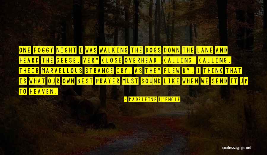 Dogs In Heaven Quotes By Madeleine L'Engle
