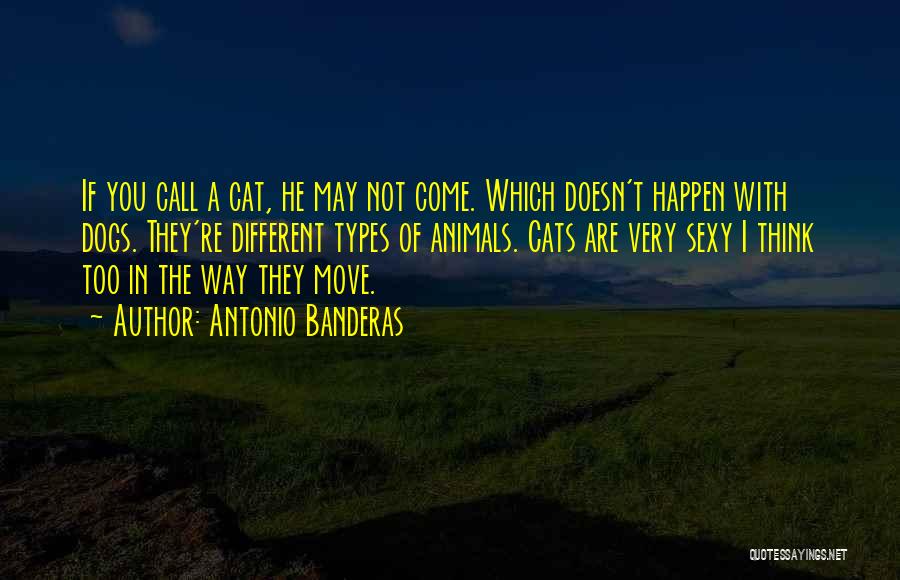 Dogs In Quotes By Antonio Banderas
