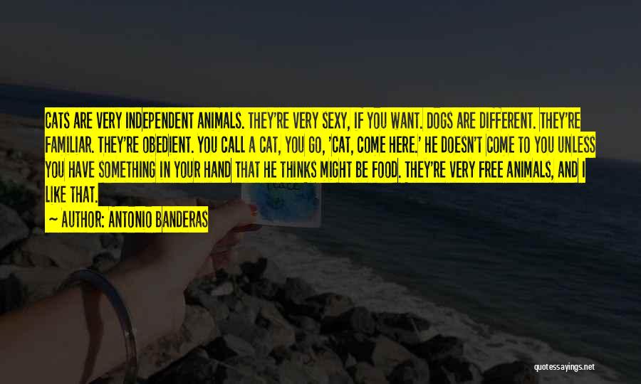 Dogs In Quotes By Antonio Banderas