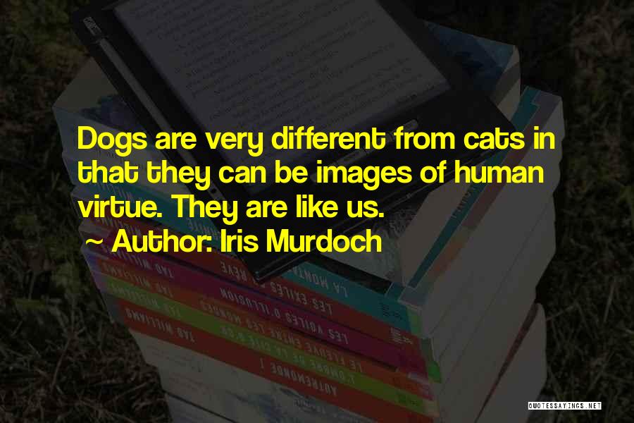 Dogs In Quotes By Iris Murdoch