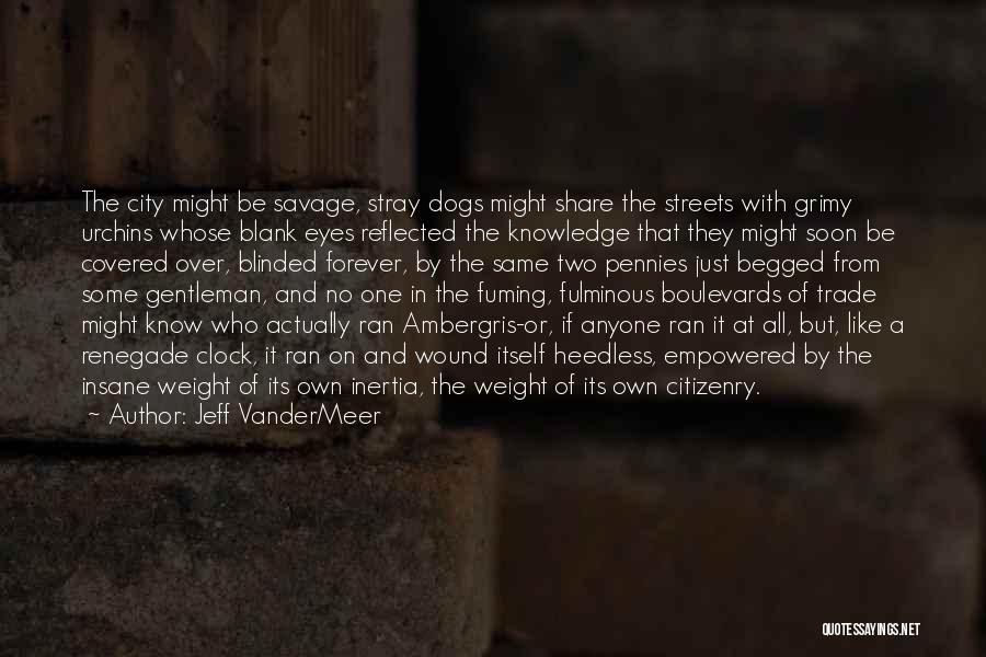 Dogs In Quotes By Jeff VanderMeer