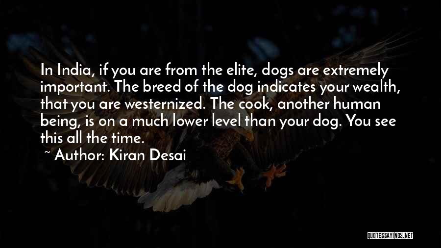 Dogs In Quotes By Kiran Desai