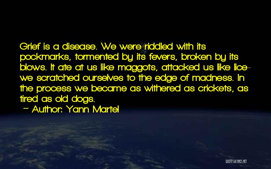 Dogs In Quotes By Yann Martel