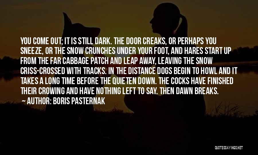 Dogs In Snow Quotes By Boris Pasternak