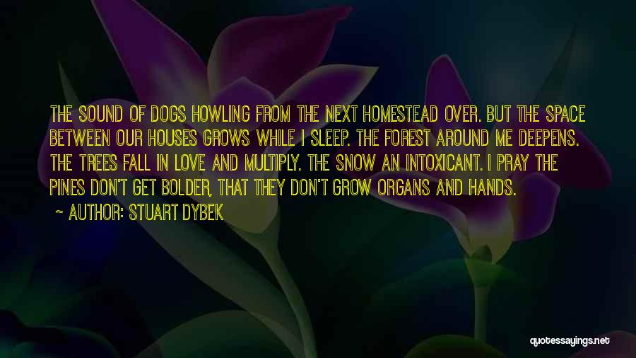 Dogs In Snow Quotes By Stuart Dybek