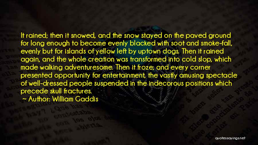 Dogs In Snow Quotes By William Gaddis