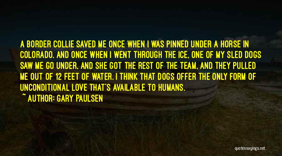 Dogs In Water Quotes By Gary Paulsen