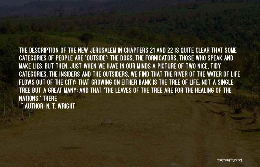 Dogs In Water Quotes By N. T. Wright