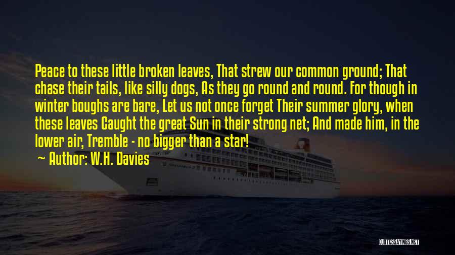 Dogs In Winter Quotes By W.H. Davies