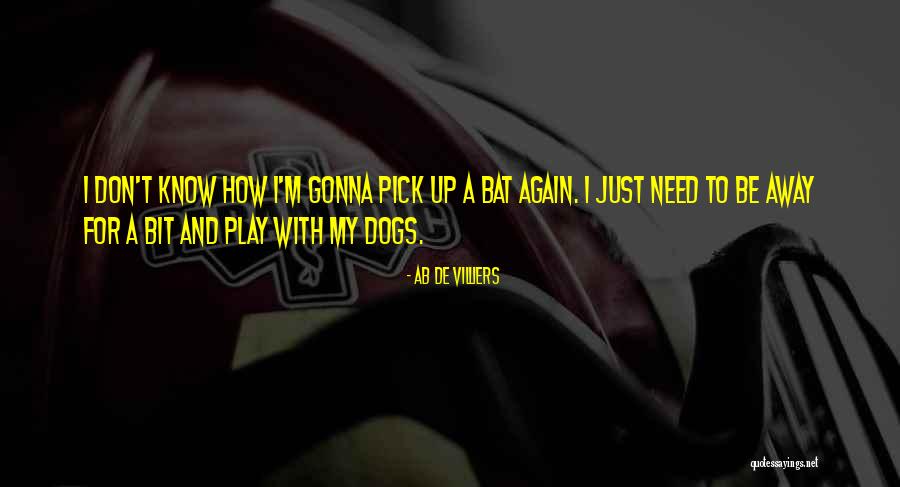 Dogs Just Know Quotes By AB De Villiers Dogs Just Know Quotes By AB De Villiers