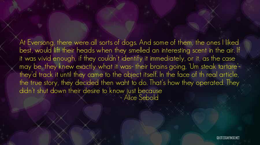 Dogs Just Know Quotes By Alice Sebold Dogs Just Know Quotes By Alice Sebold