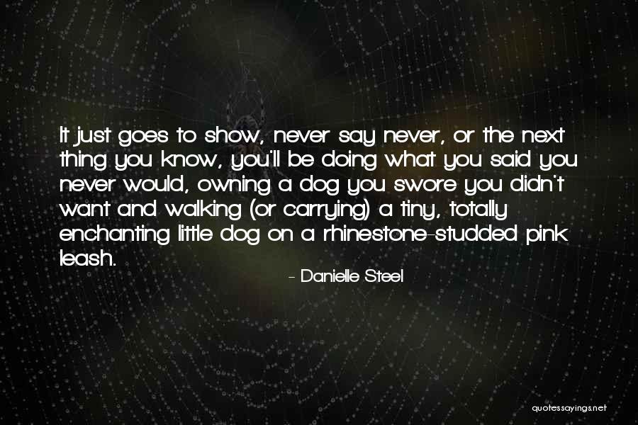 Dogs Just Know Quotes By Danielle Steel Dogs Just Know Quotes By Danielle Steel