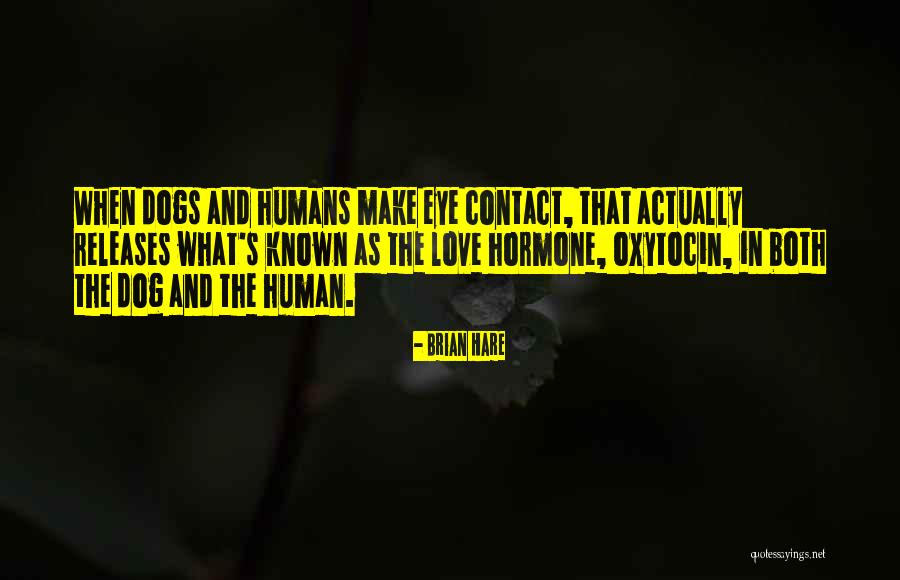 Dogs Love Humans Quotes By Brian Hare Dogs Love Humans Quotes By Brian Hare