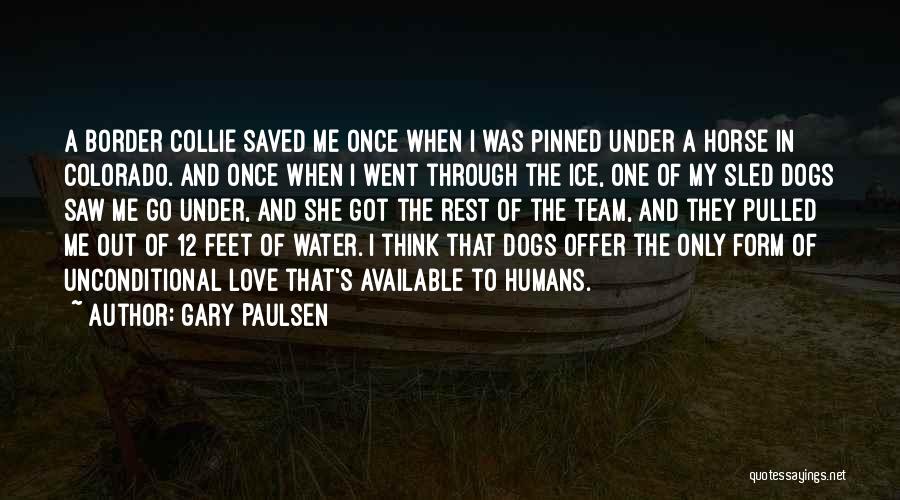 Dogs Love Quotes By Gary Paulsen Dogs Love Quotes By Gary Paulsen