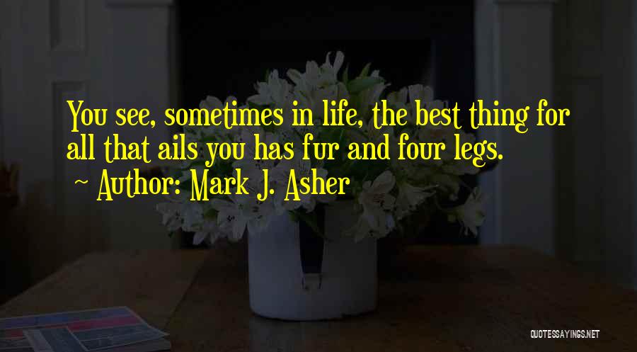 Dogs Loyalty Quotes By Mark J. Asher