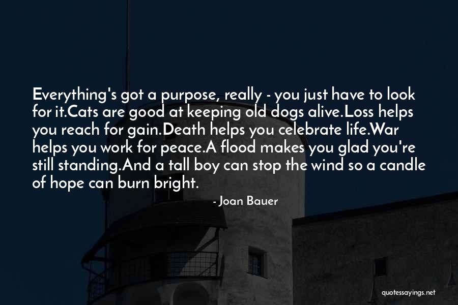 Dogs Of War Quotes By Joan Bauer Dogs Of War Quotes By Joan Bauer