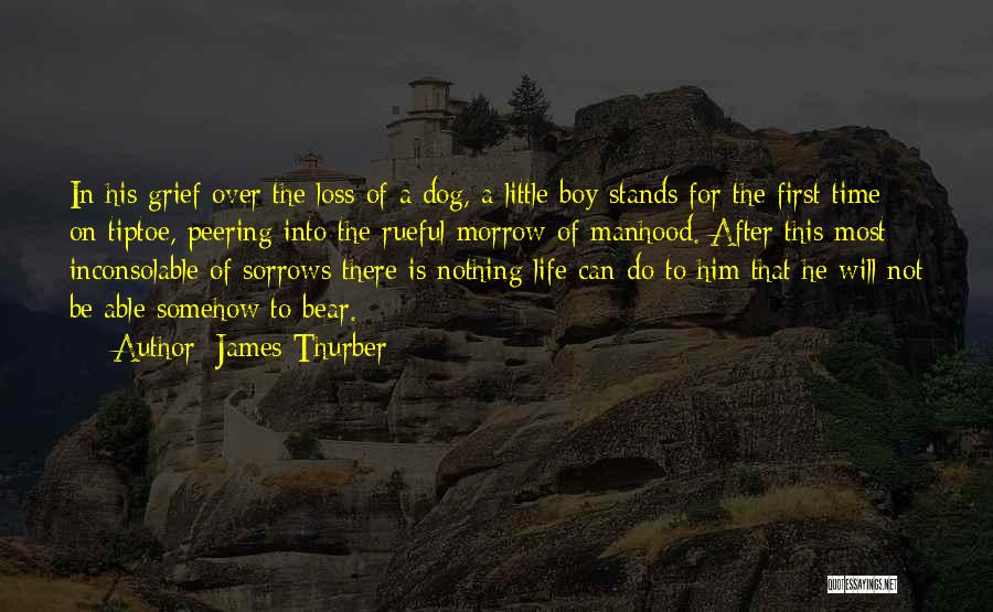 Dogs Pets Quotes By James Thurber