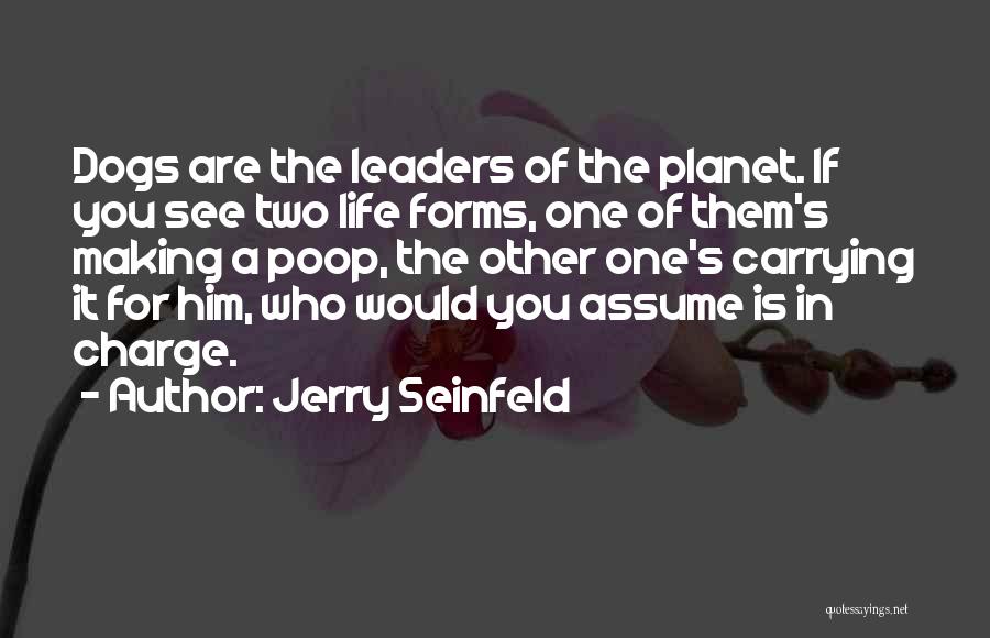 Dogs Pets Quotes By Jerry Seinfeld