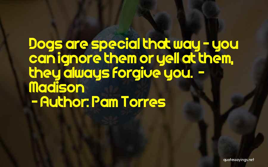 Dogs Pets Quotes By Pam Torres