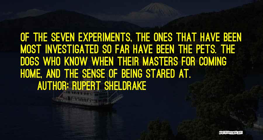 Dogs Pets Quotes By Rupert Sheldrake