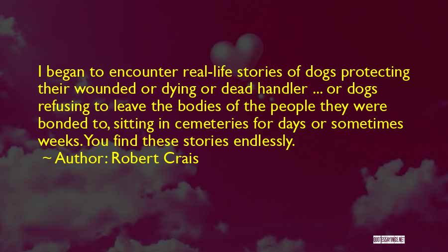 Dogs Protecting You Quotes By Robert Crais