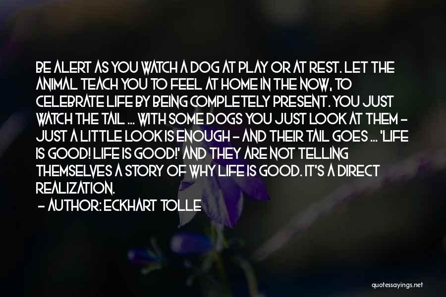 Dogs Tail Quotes By Eckhart Tolle