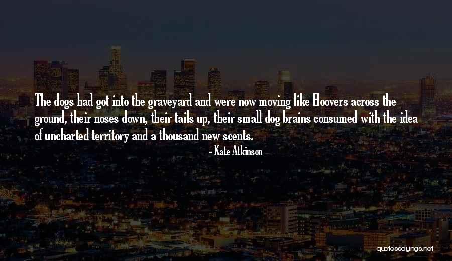 Dogs Tails Quotes By Kate Atkinson Dogs Tails Quotes By Kate Atkinson