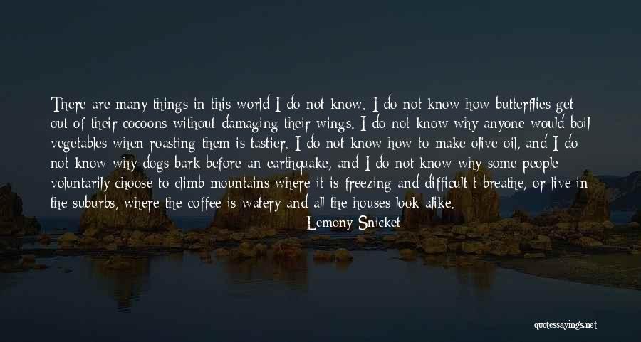 Dogs Will Bark Quotes By Lemony Snicket