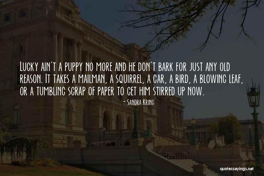 Dogs Will Bark Quotes By Sandra Kring