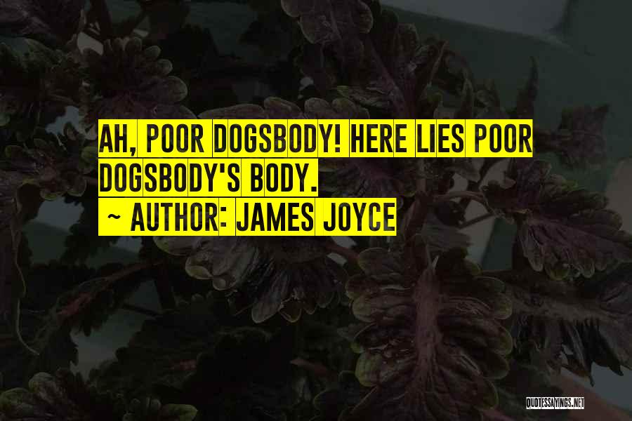 Dogsbody Quotes By James Joyce