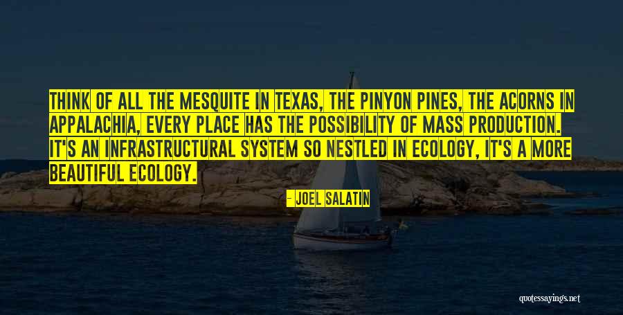 Dogsill Quotes By Joel Salatin Dogsill Quotes By Joel Salatin
