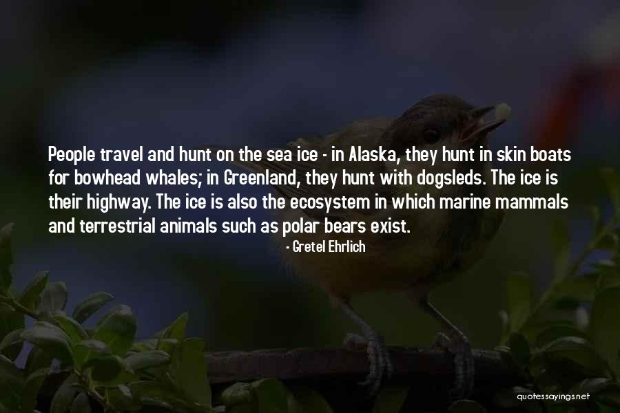Dogsleds Quotes By Gretel Ehrlich Dogsleds Quotes By Gretel Ehrlich