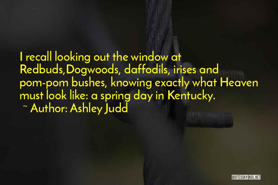 Dogwoods Quotes By Ashley Judd