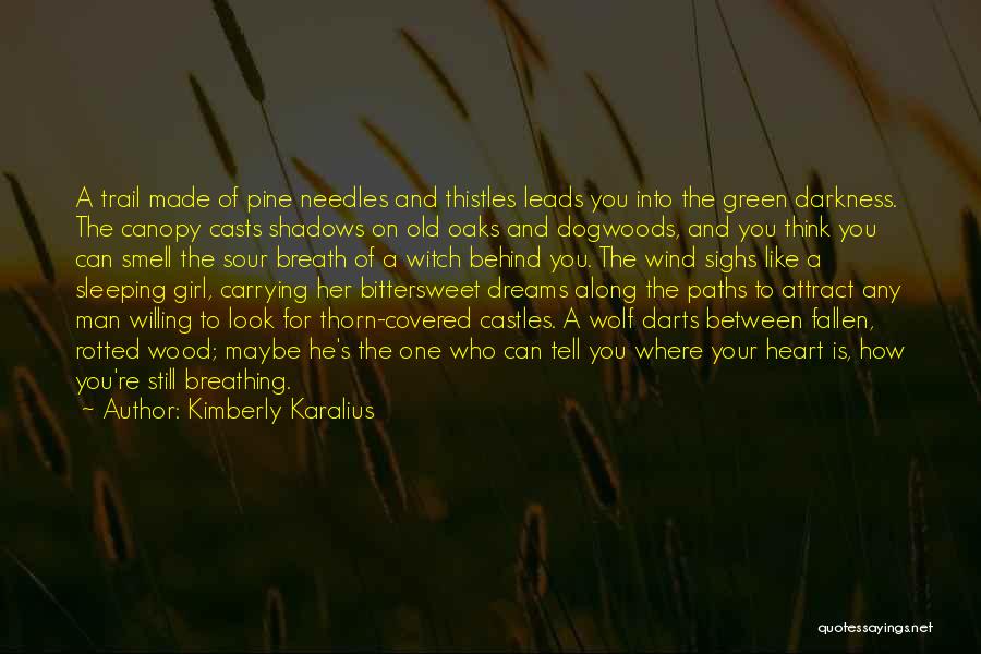 Dogwoods Quotes By Kimberly Karalius