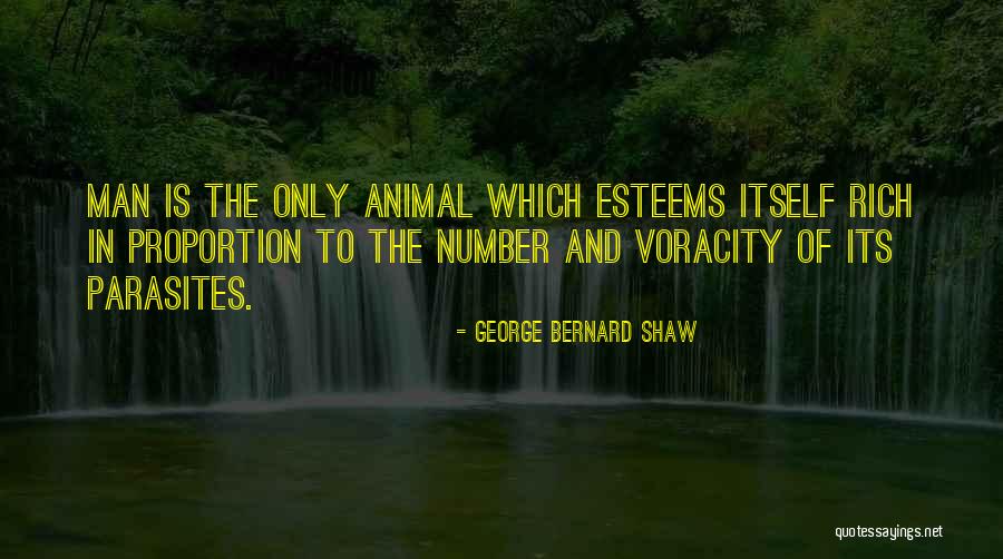 Dohenys Pool Supplies Quotes By George Bernard Shaw Dohenys Pool Supplies Quotes By George Bernard Shaw