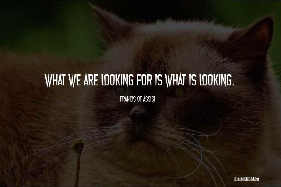 Doido Significado Quotes By Francis Of Assisi Doido Significado Quotes By Francis Of Assisi