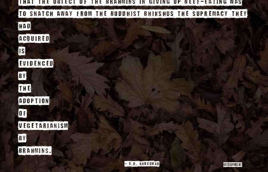 Doina Ciobanu Quotes By B.R. Ambedkar Doina Ciobanu Quotes By B.R. Ambedkar