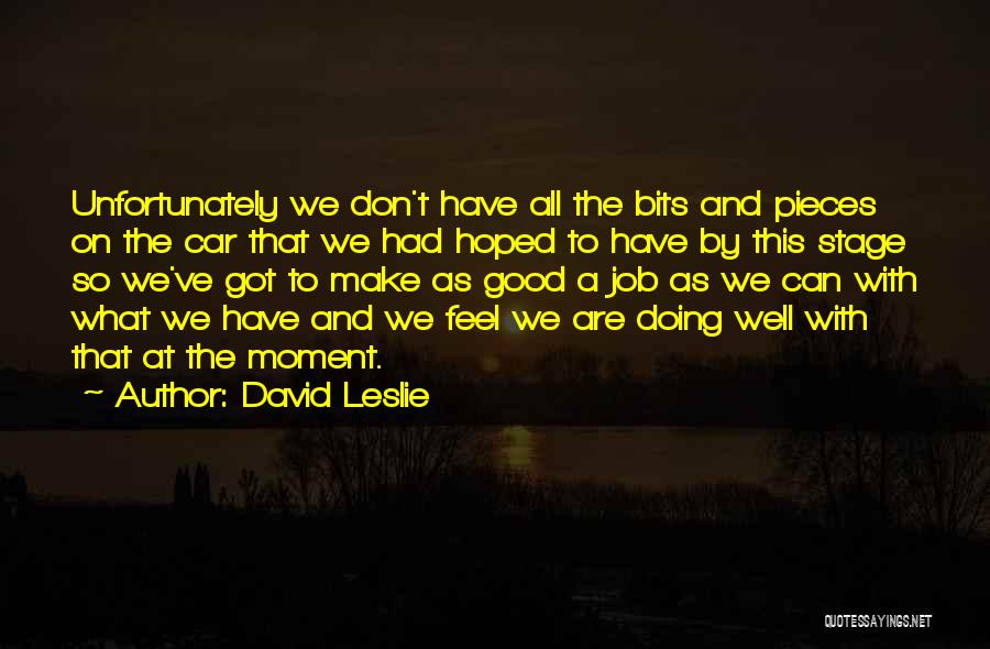 Doing A Good Job Quotes By David Leslie