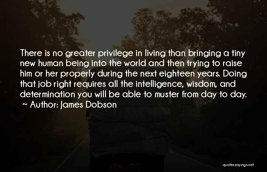 Doing A Job Properly Quotes By James Dobson